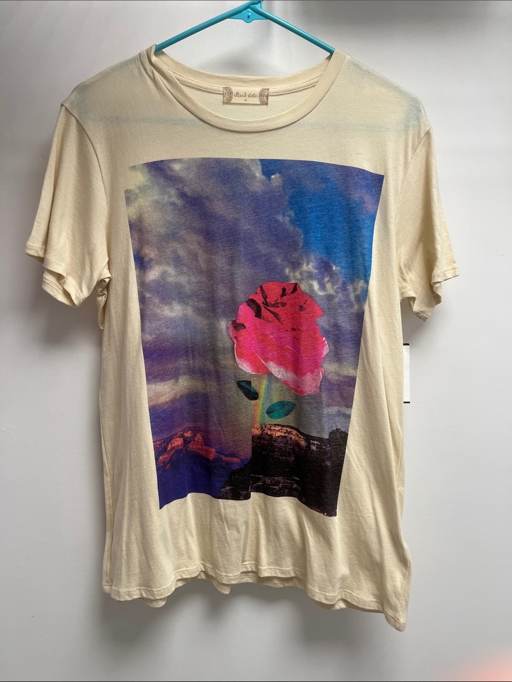 Altar'd State Cream Tee with Pink Rose Scenic Print